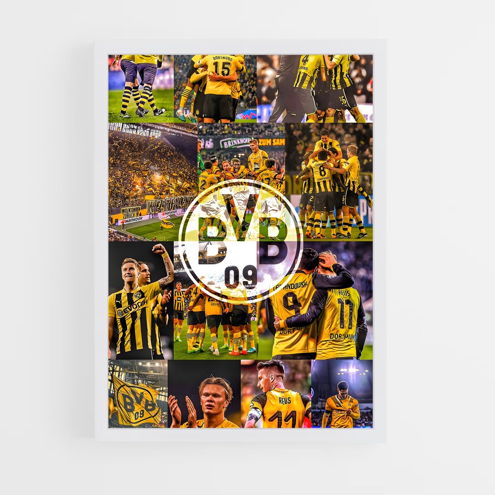 Poster Borussia Fever (vue 3)